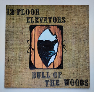 13th Floor Elevators – Bull Of The Woods