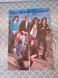 Рок плакат группы Black Crowes