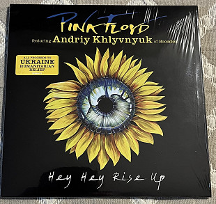 Pink Floyd Featuring Andriy Khlyvnyuk – 2022 Hey Hey Rise Up