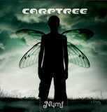 Carptree – Nymf