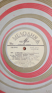 Ми з України(Ровенська, Чернігівська обл.) 2 платівки українські пісні