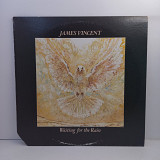 James Vincent – Waiting For The Rain LP 12" (Прайс 45258)