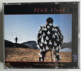 Pink Floyd-Delicate Sound Of Thunder USA