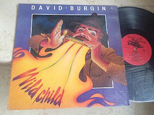 David Burgin ‎– Wild Child (USA ) Blues LP ***