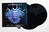 Shpongle - Are You Shpongled? (1998/2022) (3xLP)