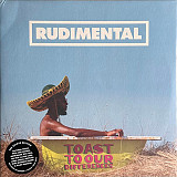 Вінілова платівка Rudimental – Toast To Our Differences (190295612450) 2LP