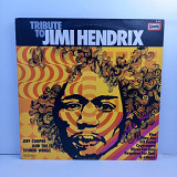 Jeff Cooper And The Stoned Wings – Tribute To Jimi Hendrix LP 12" (Прайс 30133)