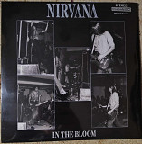 Nirvana – In The Bloom