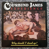 The Colorblind James Experience – Why Should I Stand Up? (LP, Album)