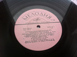 Фламинго - Вокально-Инструментальный Ансамбль «Фламинго» (10", Mono) 1971 ЕХ+