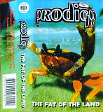 Альбом Prodigy - The Fat of the Land купить на Vinyl.com.ua