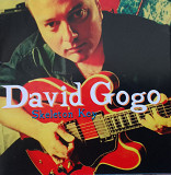 David GOGO 2002 - Skeleton Key MINT/NM-