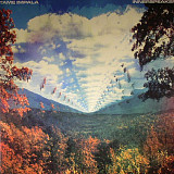 Вінілова платівка Tame Impala – Innerspeaker 2LP