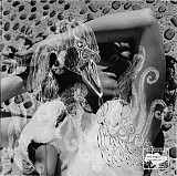 Bjork – Vespertine ( UA )