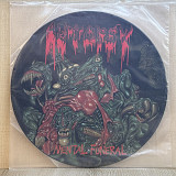 Вінілова платівка Autopsy – Mental Funeral (Picture Disc) 1991