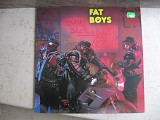 Fat Boys – Coming Back Hard Again ( Germany )LP