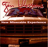 Gin Blossoms – New Miserable Experience ( USA )