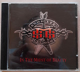 MSG, Schenker - Barden - In The Midst Of Beauty. 140гр.