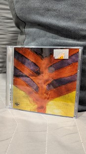 Yeah Yeah Yeahs – Show Your Bones [CD, 2006]