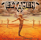 Testament (Practice What You Preach) 1989. (LP). 12. Vinyl. Пластинка. Germany
