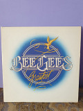 Bee Gees Greatest hits 1979 (UK) nm-/nm-/nm-