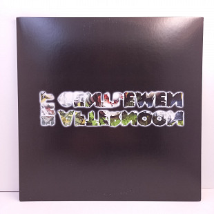 The Afternoon Gentlemen – The Afternoon Gentlemen EP 12" 45 RPM (Прайс 46034)