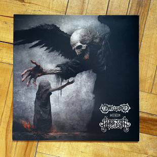 ADRESTIA / COLLAPSED - SPLIT (LP, black vinyl)