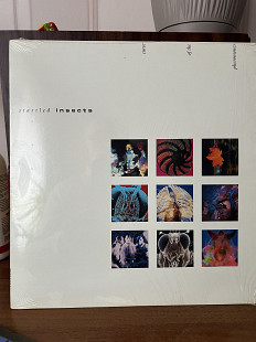 Startled Insects “Curse of The Pheromones”