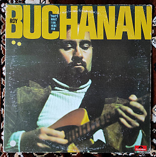 Roy Buchanan – That's What I Am Here For