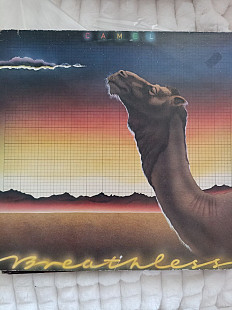 Camel.breathless