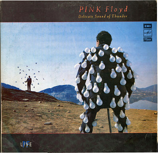 Pink Floyd Live - Delicate Sound Of Thunder A60 00543_46 USSR 1990 2LP