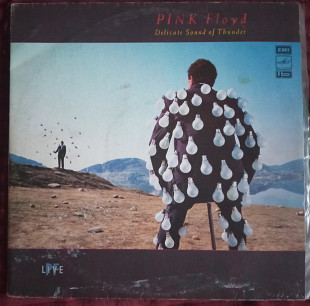 PINK FLOYD. "Delicate Sound of Thunder"