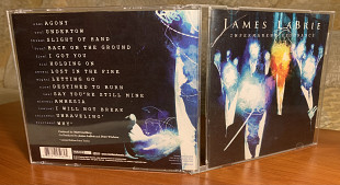 James LaBrie - Impermanent resonance