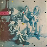 Лицей - Домашний Арест - 1992. (LP). 12. Vinyl. Пластинка. Latvia. Rare