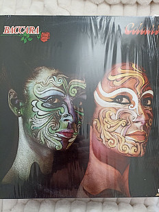 Baccara.colours
