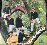 Tommy James & The Shondells - Hanky Panky ℗1966 (US) [VG / VG+]