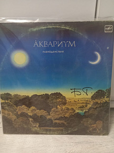 Аквариум Равноденствие (Автограф Гребенщикова)