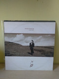 Tanita Tikaram – Ancient Heart, 1989, SX 2836, Poland (выглядит ЕХ, ЕХ-, играет отлично, песка нет/