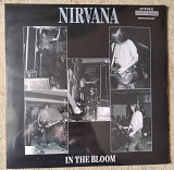 Nirvana – In The Bloom