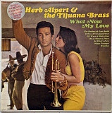 Herb Alpert & The Tijuana Brass – What Now My Love