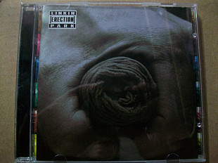 LINKIN PARK / TRIBAL INK CD «Erection» ℗2003