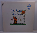 Edie Brickell & New Bohemians – Shooting Rubberbands At The Stars LP 12" (Прайс 46584)