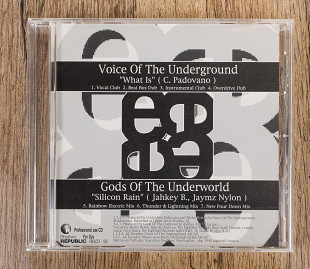 Voice Of The Underground - What Is / Silicon Rain (Японія)
