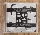 Voice Of The Underground - What Is / Silicon Rain (Японія)