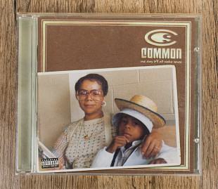 Common - One Day It'll All Make Sense (США)