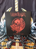 Warcollapse - Deserts Of Ash (12", 2021) (NM/NM)