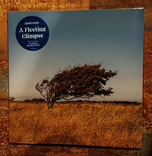 Bjørn Riis – A Fleeting Glimpse – LP Blue Transparent