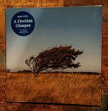 Bjørn Riis – A Fleeting Glimpse – LP Blue Transparent