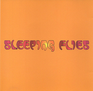 Sleeping Flies – You Are Superior ( USA ) Acid House, Dub, Breakbeat, Psychedelic, Krautrock