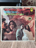 Ike & Tina Turner - River deep ~ mountain high